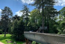 The Gruffalo, Westonbirt Arboretum景点图片
