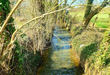 Ru de la Gondoire景点图片