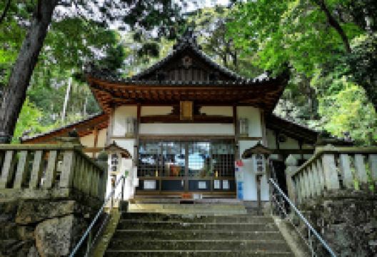 井関三神社景点图片