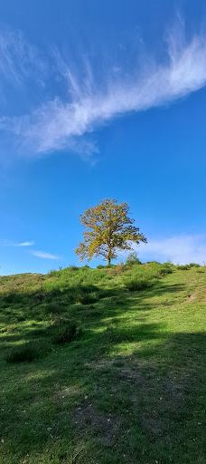 Svanninge Bakker-福堡