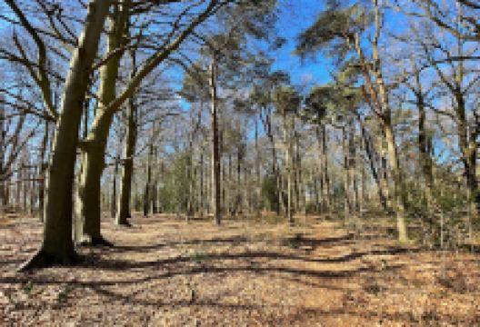 Tumulibos景点图片