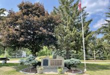 Veterans Park景点图片