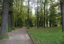 Spielplatz Straube Park景点图片