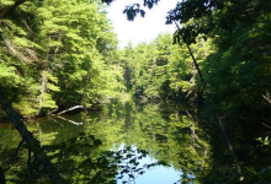 Groton Conservation Trust -- Lawrence Woods & Scenic Trails景点图片