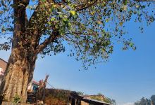 तल्लो बाह्रपिर्के चौतारा景点图片