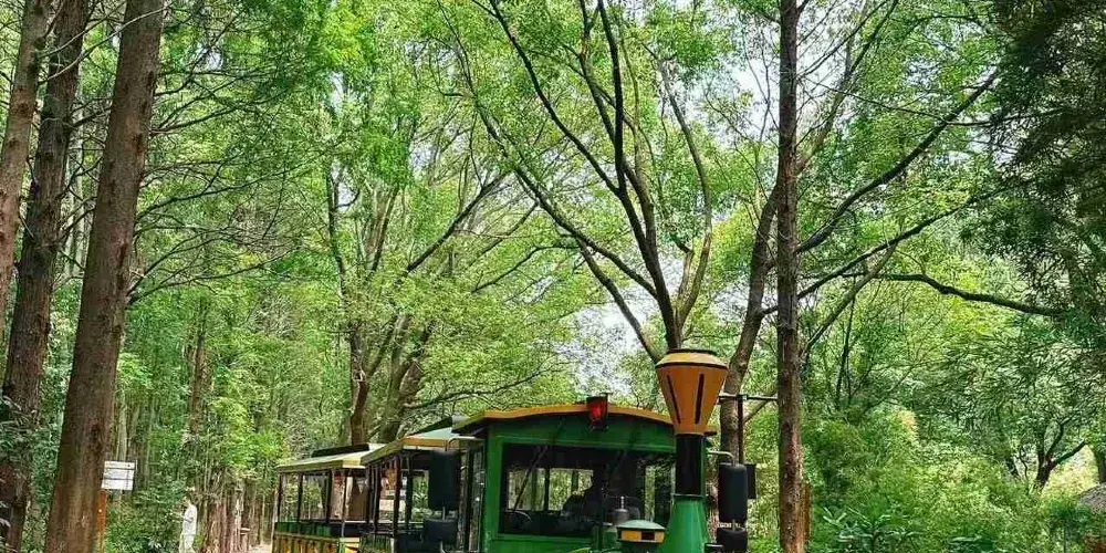 永安旅遊