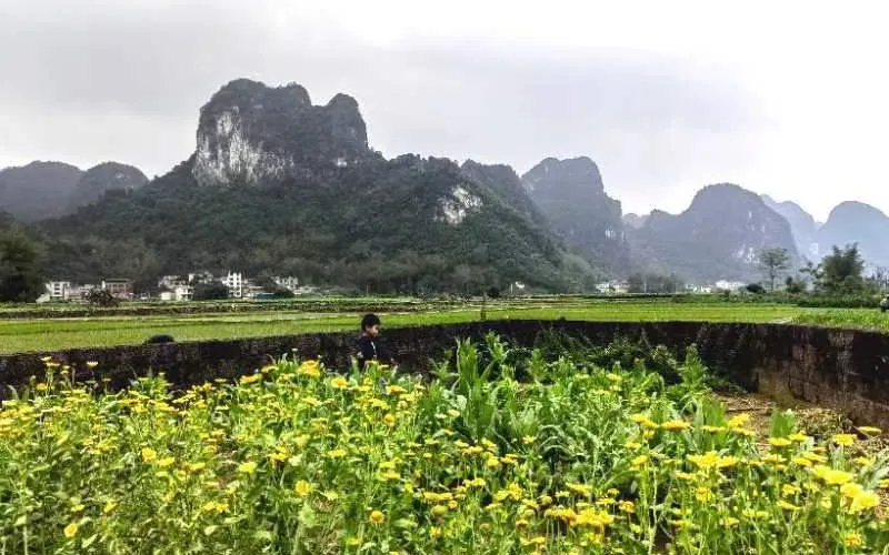 永安旅遊
