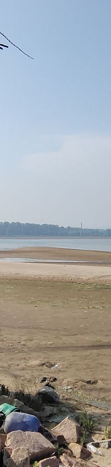 鸽子窝海鸥海滩-秦皇岛