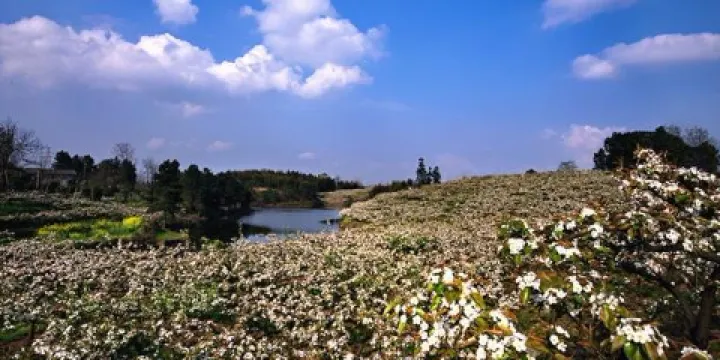 永川區黃瓜山鄉村旅遊區