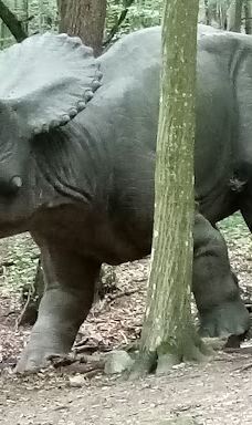 Zoo Kosice-科希策1区