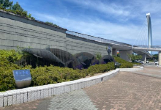 岛根县立水族馆景点图片