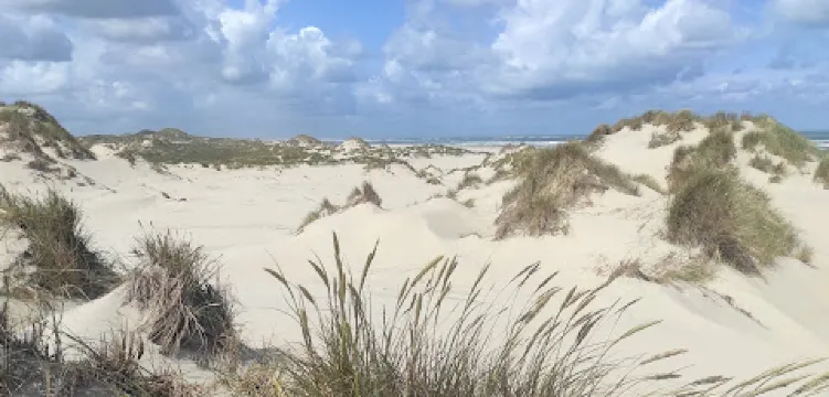 Dark Sky Park de Boschplaat