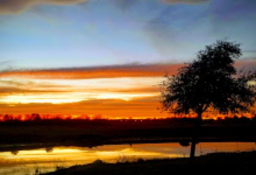 Sealy Skate Park景点图片