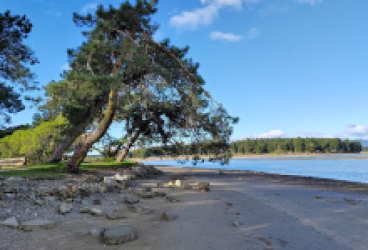 Grossi Point Reserve景点图片