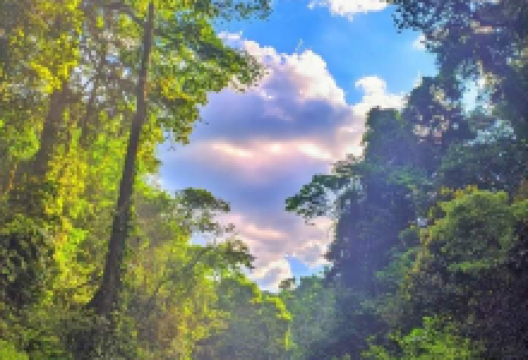 Cachoeira do Grim景点图片