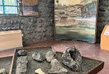 Kariandusi Museum景点图片
