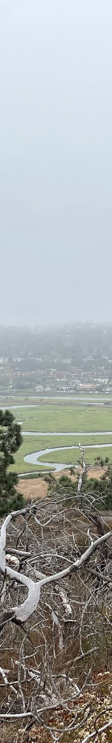 多利松国家自然保护区-佐拉