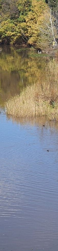 里士满桥-里士满