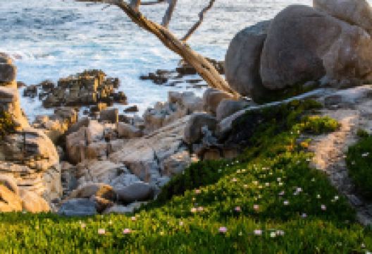 Pescadero Point景点图片