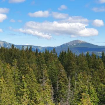 扬斯凯拉兹涅图片