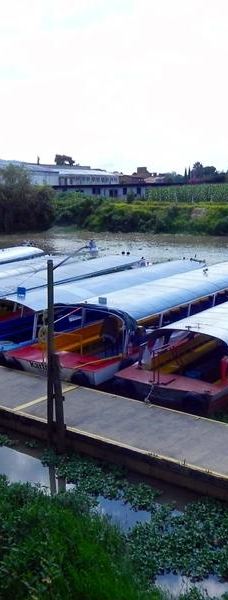 Muelle San Pedrito-帕茨夸罗