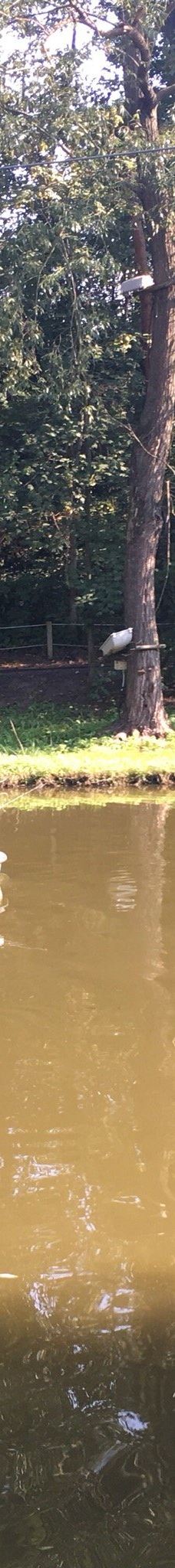 Zamárdi Adventure Park-佐马尔迪