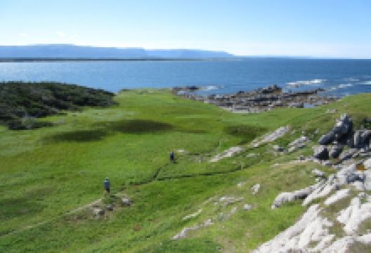 Cow Head Lighthouse景点图片