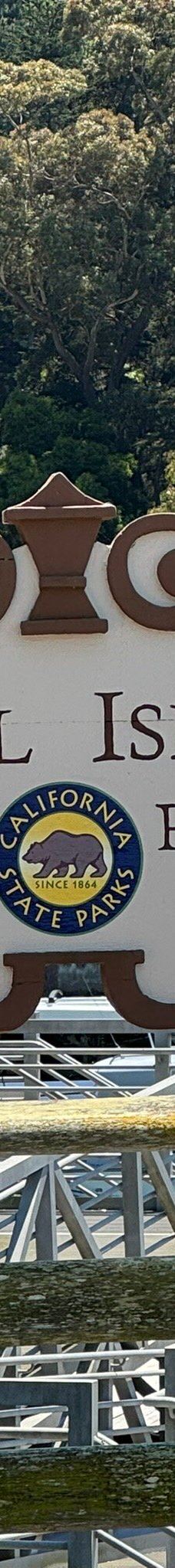 安琪儿岛-蒂伯龙