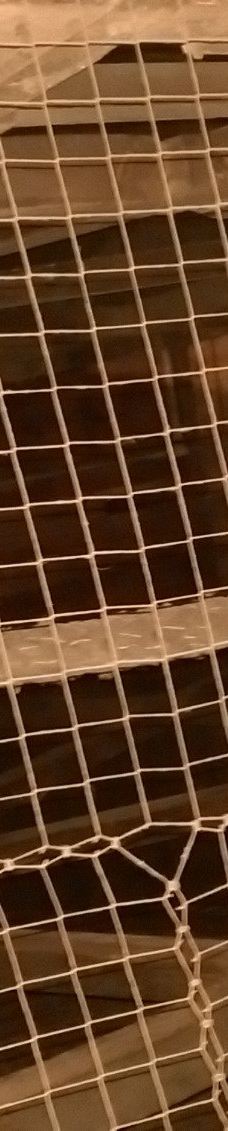 Crane. Branch of the National Martime Museum-格但斯克