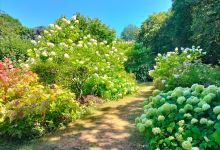 Les Jardins de Cadiot景点图片