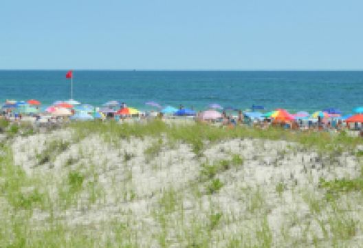 Cupsogue Beach County Park景点图片