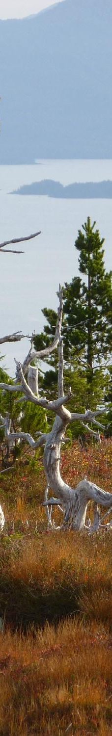 凯恩岛-鲁珀特王子港