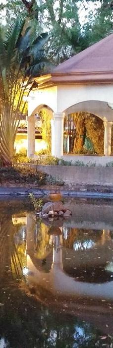 Washington Sycip Park-马卡蒂