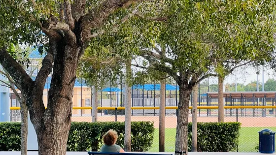 Palmetto Bay Park