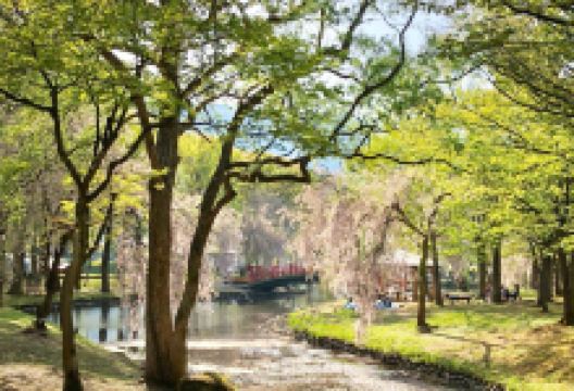 Yuzawa Central Park景点图片