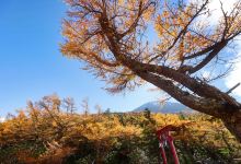 Okuniwa Nature Park景点图片