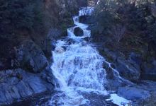 Crystal Creek Falls景点图片