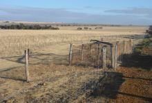 No. 1 Rabbit Proof Fence景点图片