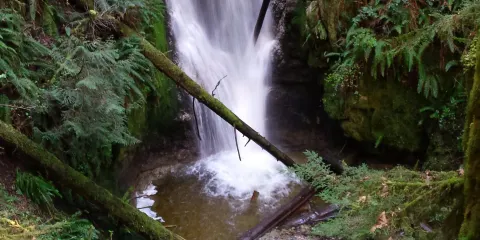 Burnett Falls Park