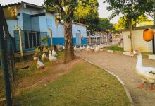 Centro de Lazer do Trabalhador景点图片