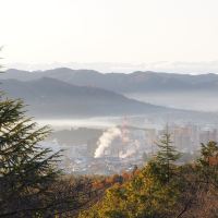 东广岛市图片