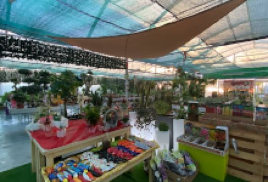 Ria Garden购物图片