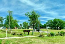 Bill Trower Memorial Park景点图片