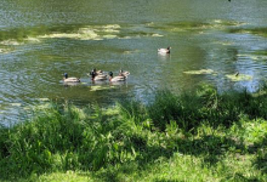 Peotone Park District景点图片