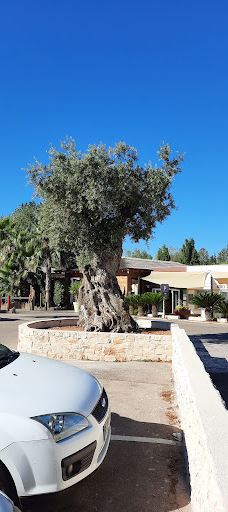 Camping Le Florida-埃尔讷