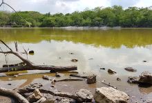 Cenote San Marcos景点图片