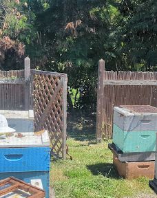 Big Island Bees-Honaunau-Napoopoo