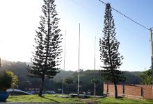 Roda dos Mastros da Prefeitura景点图片