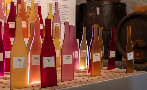 Musee du Vin