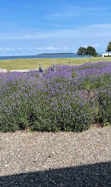 Camp Hverringe-代尔比